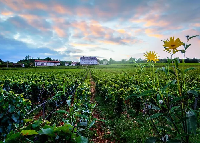 Gites Chateau Comblanchien